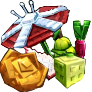 x10 Summer Seed